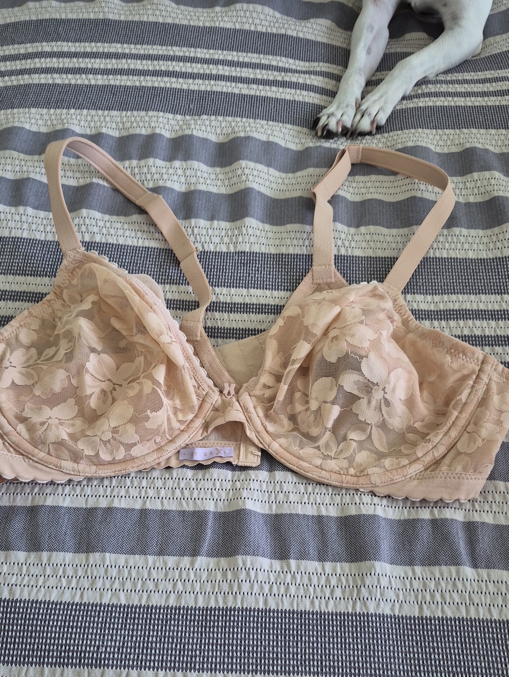 Savage X Fenty Blush Floral Lace Underwire Bra